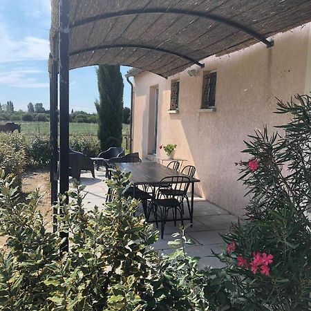 Gîte Pierre Blanche Visan Extérieur photo